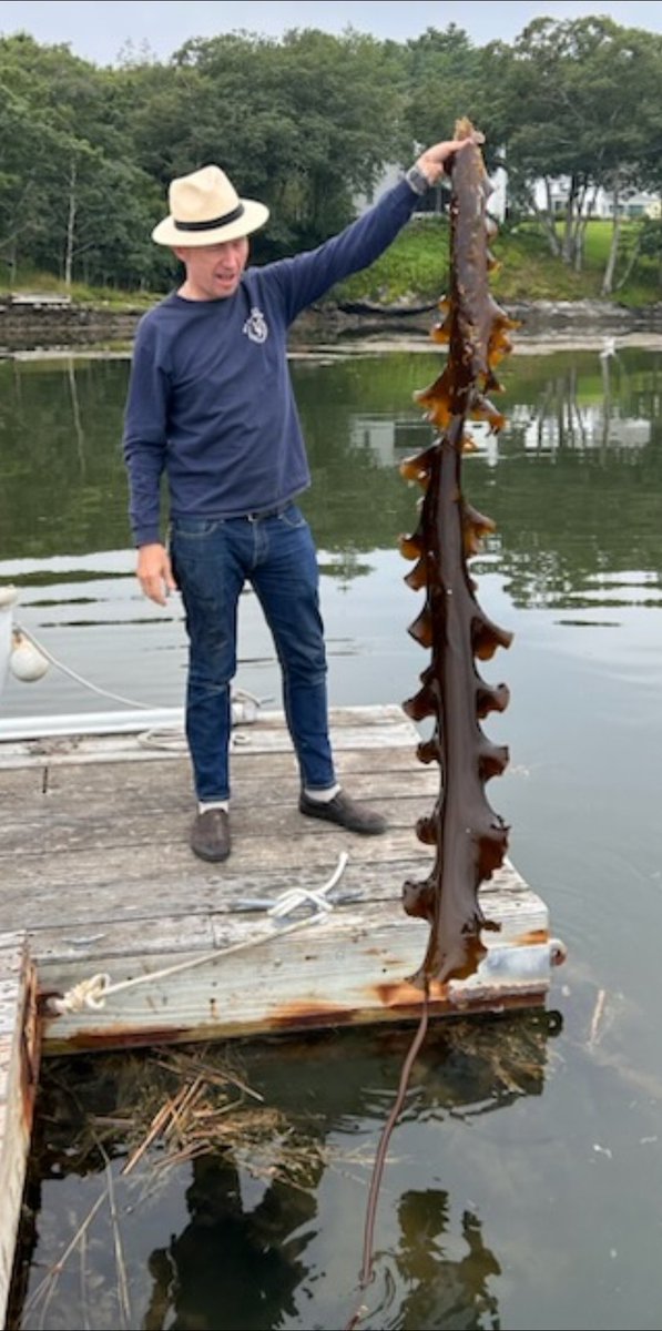 RAS 2023 New England is in full swing - first day in Maine, and we're already landing some great finds.
#RAS2023 #MarineBioinvasions
#RAS
<a href="/MassCZM/">Mass CZM</a>