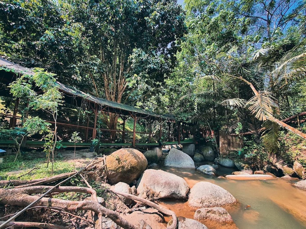 MalaysianFoods's tweet photo. Tempat Rehat Santai paling unik dekat tepi Lebuhraya Karak ! 😍

Lokasi dari Kuala Lumpur menuju ke Pantai Timur, Salah satunya di Bentong ada satu kafe yang sangat sangat sangat cantik. Suasana sangat nyaman, tenang walaupun terletak bersebelahan lebuhraya. 

📍Tanah Aina Fareena Cafe, Lot 6073, 54.3km, Lebuhraya Karak, Kampung Lentang, 28600 Bentong, Pahang

https://t.co/pcBseIyxRk