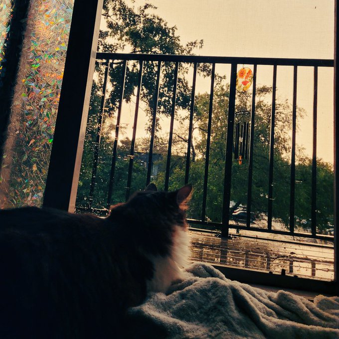 We're out here ⚡ https://t.co/SGDEe36EpH<a href="/tag/zelda"class="tags"><span>#zelda</span></a><a href="/tag/nintendoswitch"class="tags"><span>#nintendoswitch</span></a><a href="/tag/tearsofthekingdom"class="tags"><span>#tearsofthekingdom</span></a>