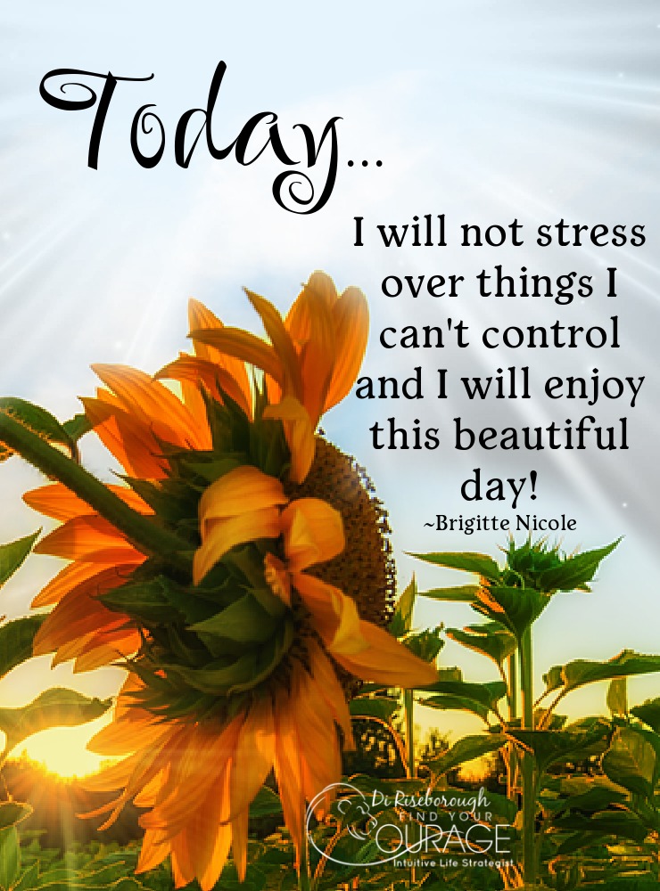 LifeWithJohn's tweet image. Today...I will not stress over things I can&apos;t control and I will enjoy this beautiful day! - Bridgette Nicole ~ Who will join me? ~ #Positivity