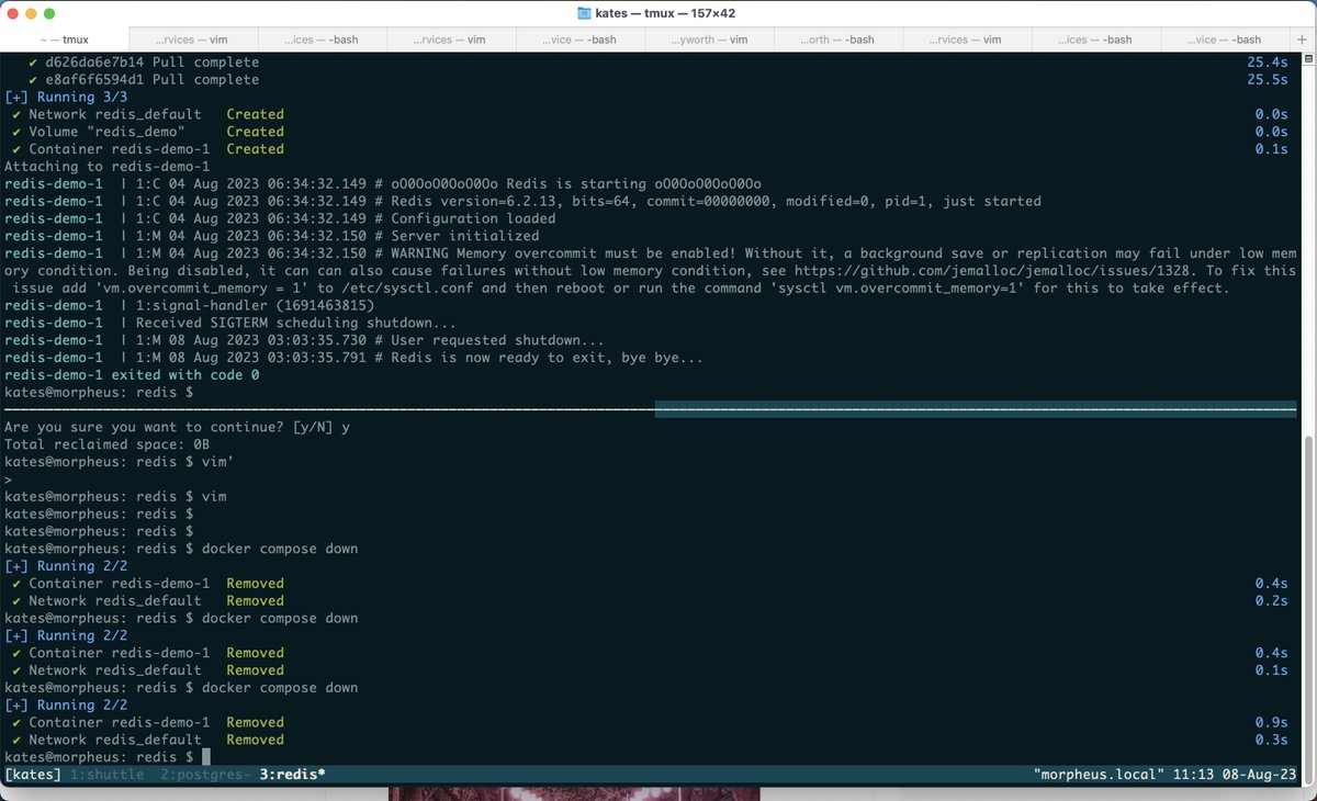 zeendrom tweet media