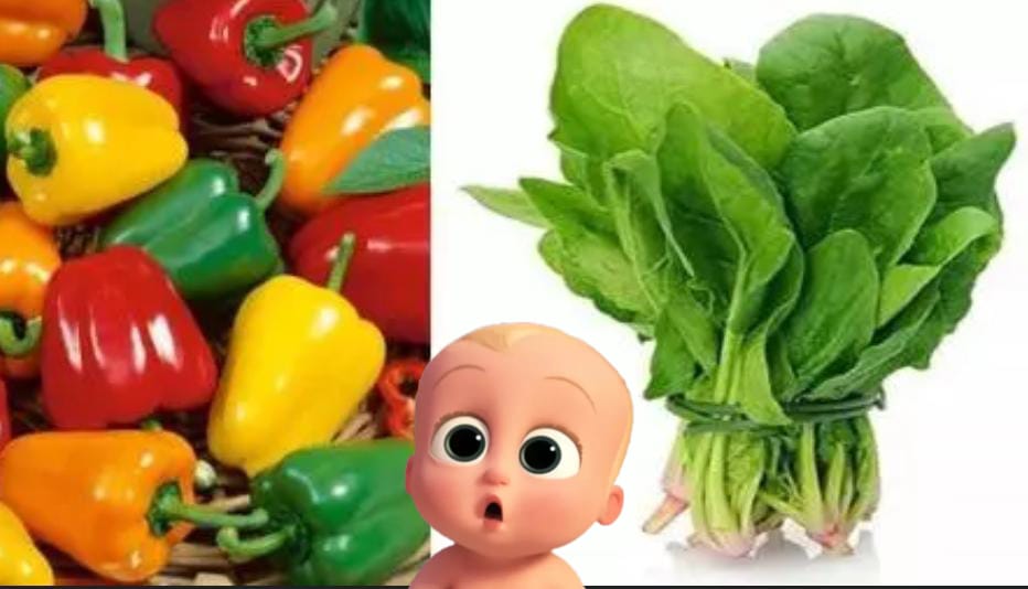 DrKavithadev's tweet photo. Let's avoid these #veggies
Bell pepper
- Raw and cooling nature disturb #digestivefire - leading to acidity and increase in body heat
#Spinach
- Not for regular use in #monsoon season as it cause gastro intestinal infection and digestive issues
( To be continued).... https://t.co/hPVe6xdD0y
