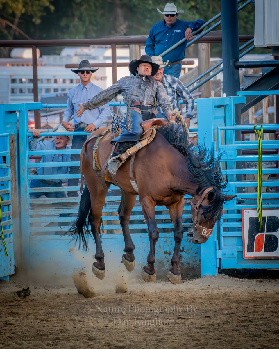 Dan_Kinghorn77's tweet photo. The Cambridge #Idaho #Rodeo over the weekend was a well ran event! #RodeoNation https://t.co/s4W9gnyK7X