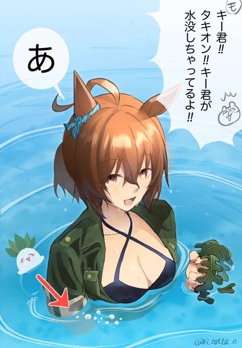 これが原料のワカメだよトレーナー君!!