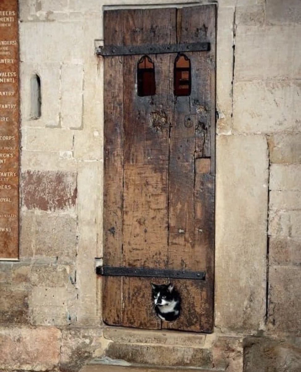 This 14th-century door located at Exeter Cathedral in the UK is believed to be the earliest known example of a cat flap. Historical records from the medieval period reveal that cats had significant roles within various cathedrals, as they were tasked with keeping the premises