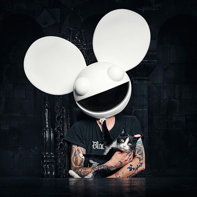 mau5hop's tweet photo. Fly high Professor Meowingtons <3 https://t.co/ZQLyKE4IoT