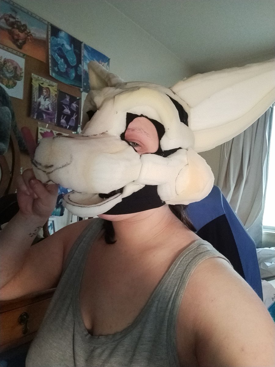 Thought I'd give a new head style a go.... #furry #furryfandom #furrycommunity #fursuit #fursuitmaker #fursuitmaking #fursuitcommissions #fursuitwip
