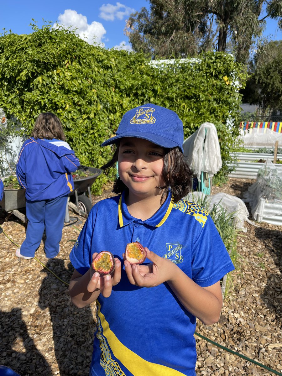Oxley Park Public School tweet media