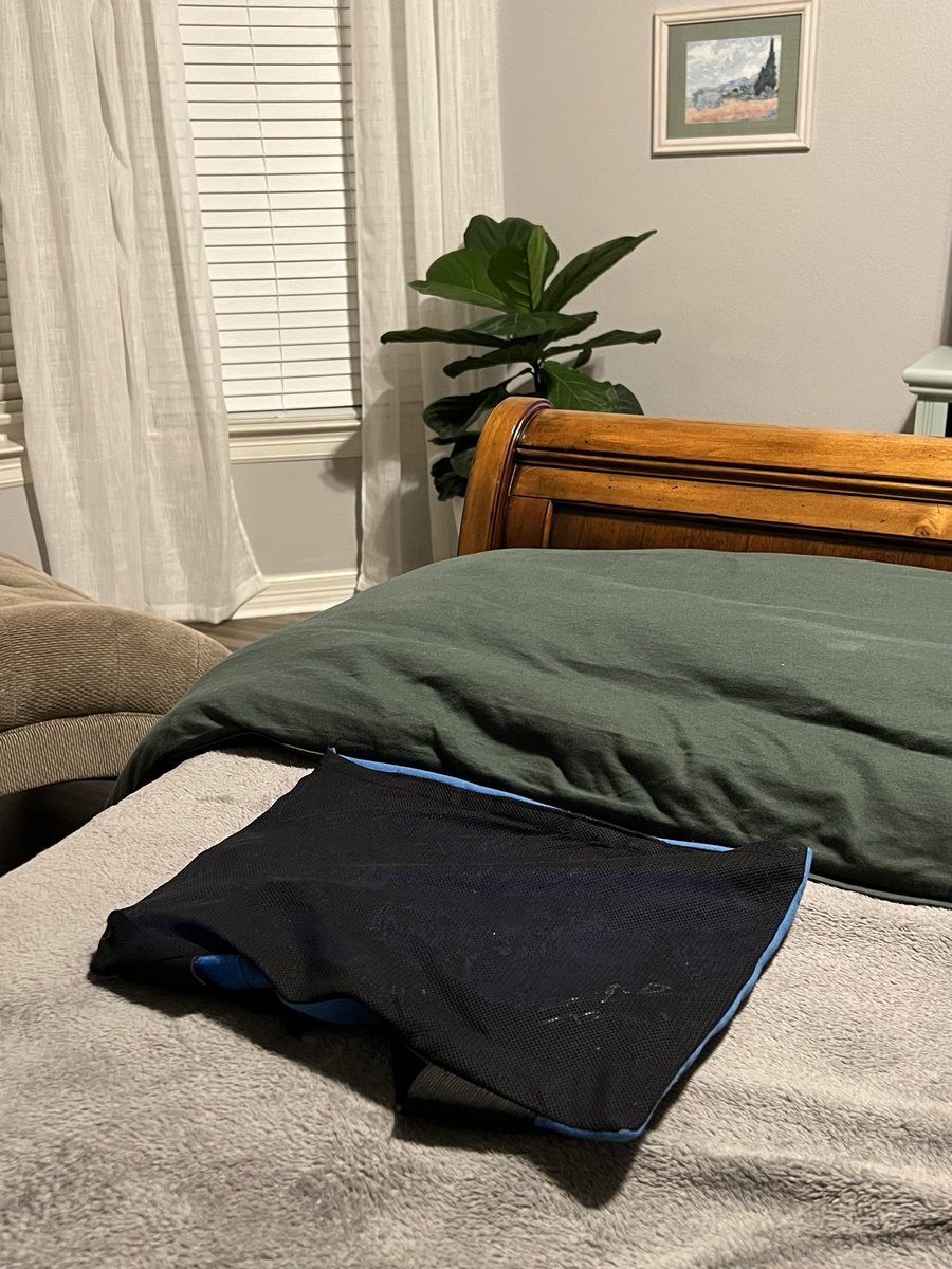 Monica_Wilcox's tweet image. Like using a hot water bottle to warm your bed, 

only it’s an ice pack. 

#excessiveheatwarning #weather #Texas