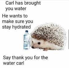 jimbeanLit's tweet image. Hey my amazing friends! 👋 

Just a quick heads up – I'm beyond stoked to share my latest YouTube video with you this Tuesday at 7PM EST. Your support means the world to me! Link will be posted here 🤝

Hint: Stay hydrated and keep those positive vibes flowing! 💧😄 #NewVideoDrop