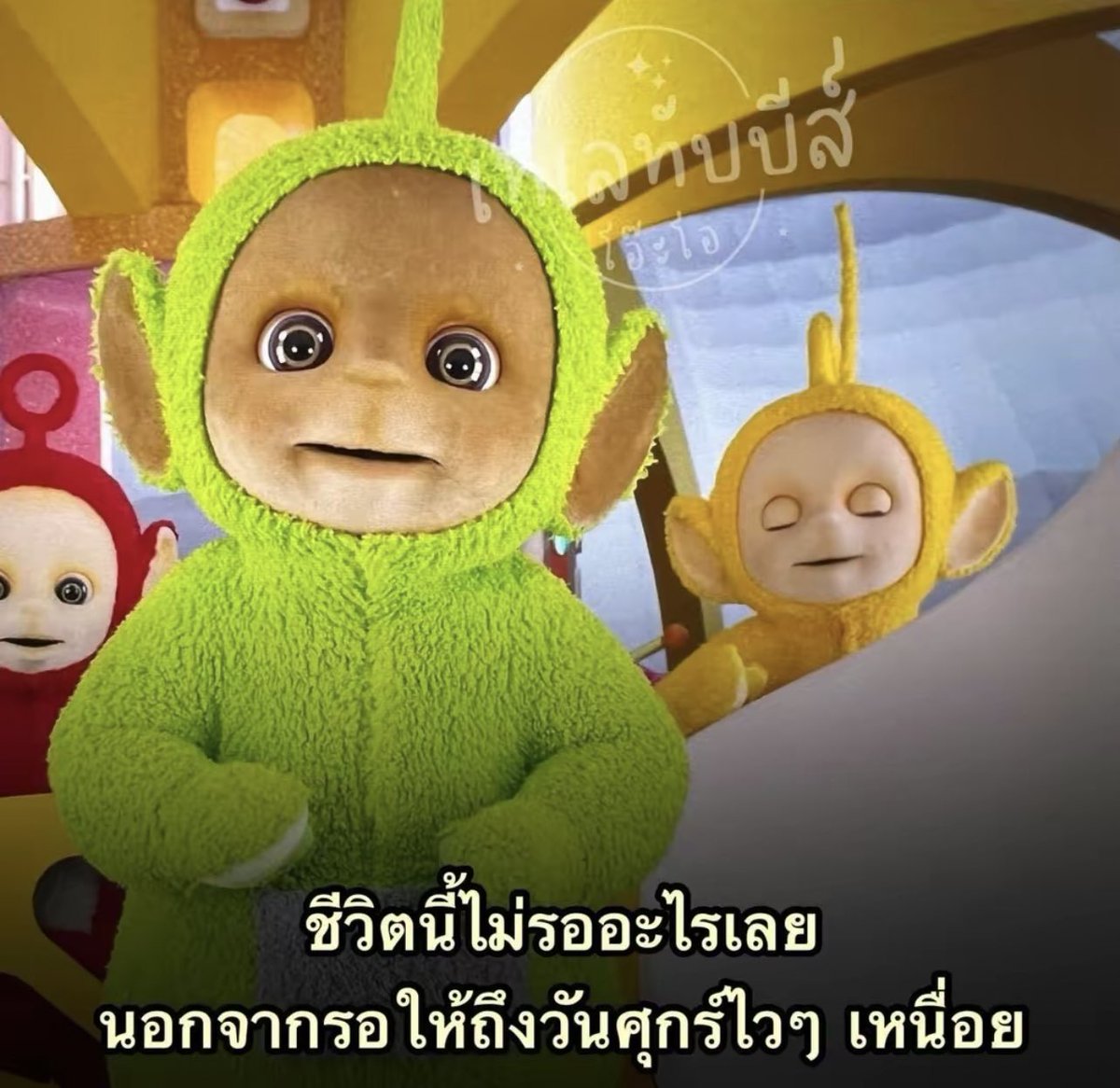 psmark1821's tweet image. สภาพกู55555555555555555555555555555555555555555555555555555