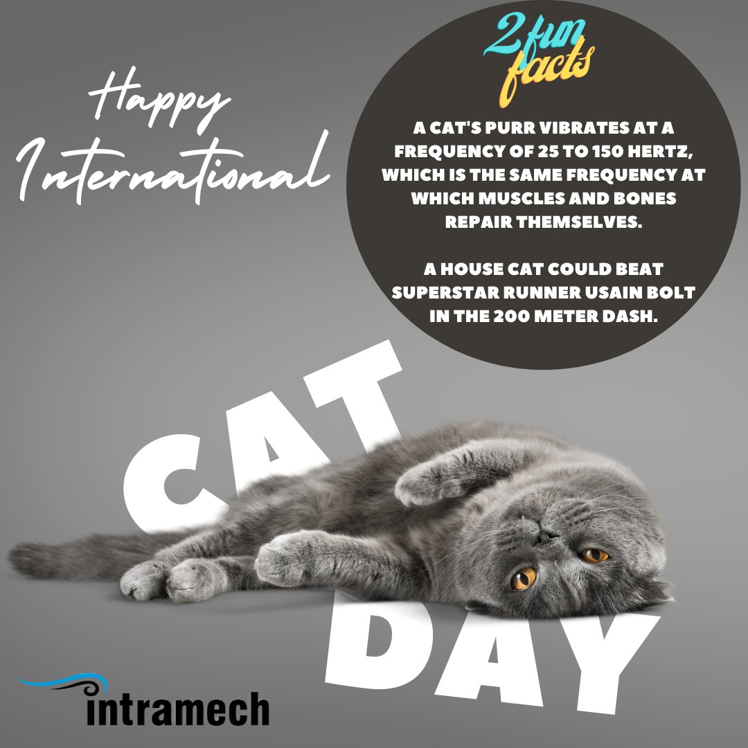 _Intramech_'s tweet image. Today we celebrate Cat Day! What does a cat have to do with HVAC? Nothing, but according to cats, that is NOT the point!😅