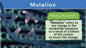 CellScience4's tweet image. #mutation #CellBiology #cellscience