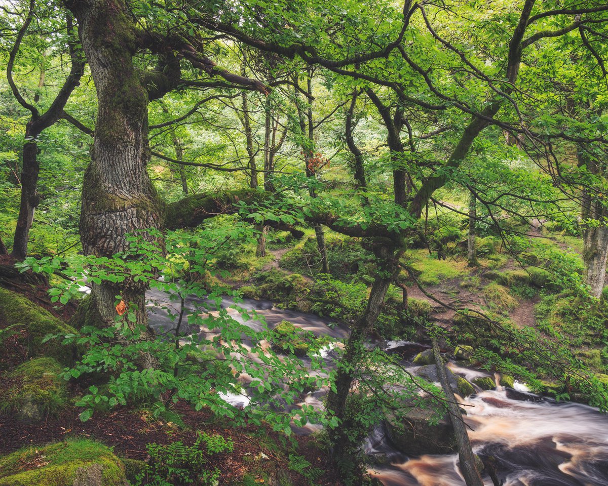 Daron linney tweet media