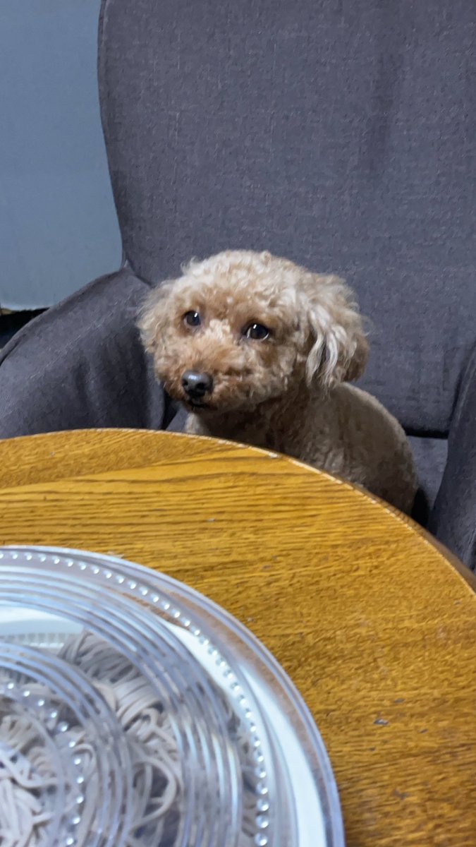 急性膵炎で3日くらい飲食出来なくて、
ずっと辛そうだったけど、治ってよかった😭

もう毎日病院に通わなくて済みます😌