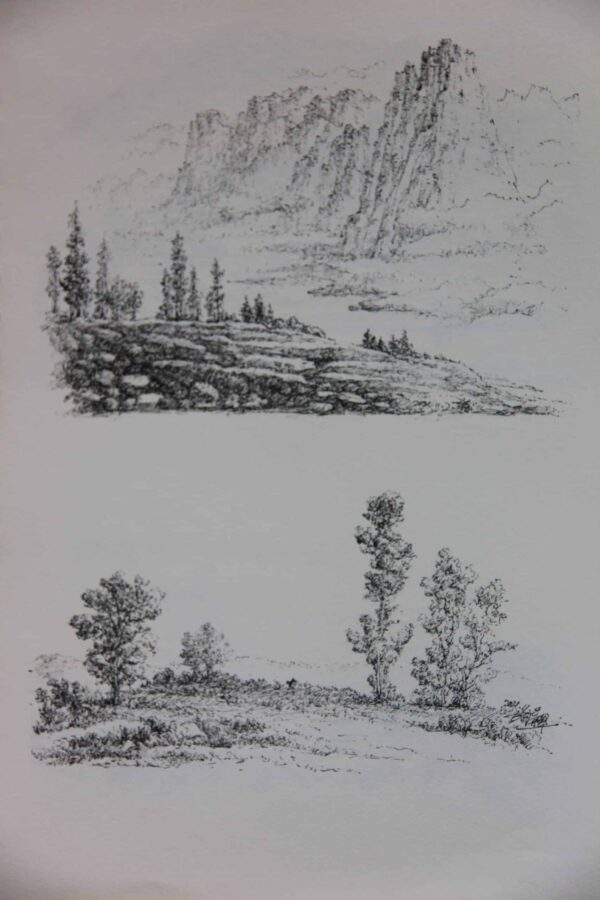 kaijunart's tweet photo. ❤ Like &amp; 📌Subscribe if you enjoy my artworks!
- Artist: Kaijun Hu
- Location: Yunnan, China
- Album: Beauty of Yunnan
- Website: https://t.co/XT9mldLFfF

#sketch #sketches
#drawing #drawings 
#art #painting
#tree #kaijunart #yunnan #chineseart #rock #mountain https://t.co/BAHHErDkWU