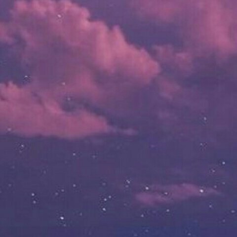 새벽보라 tweet media