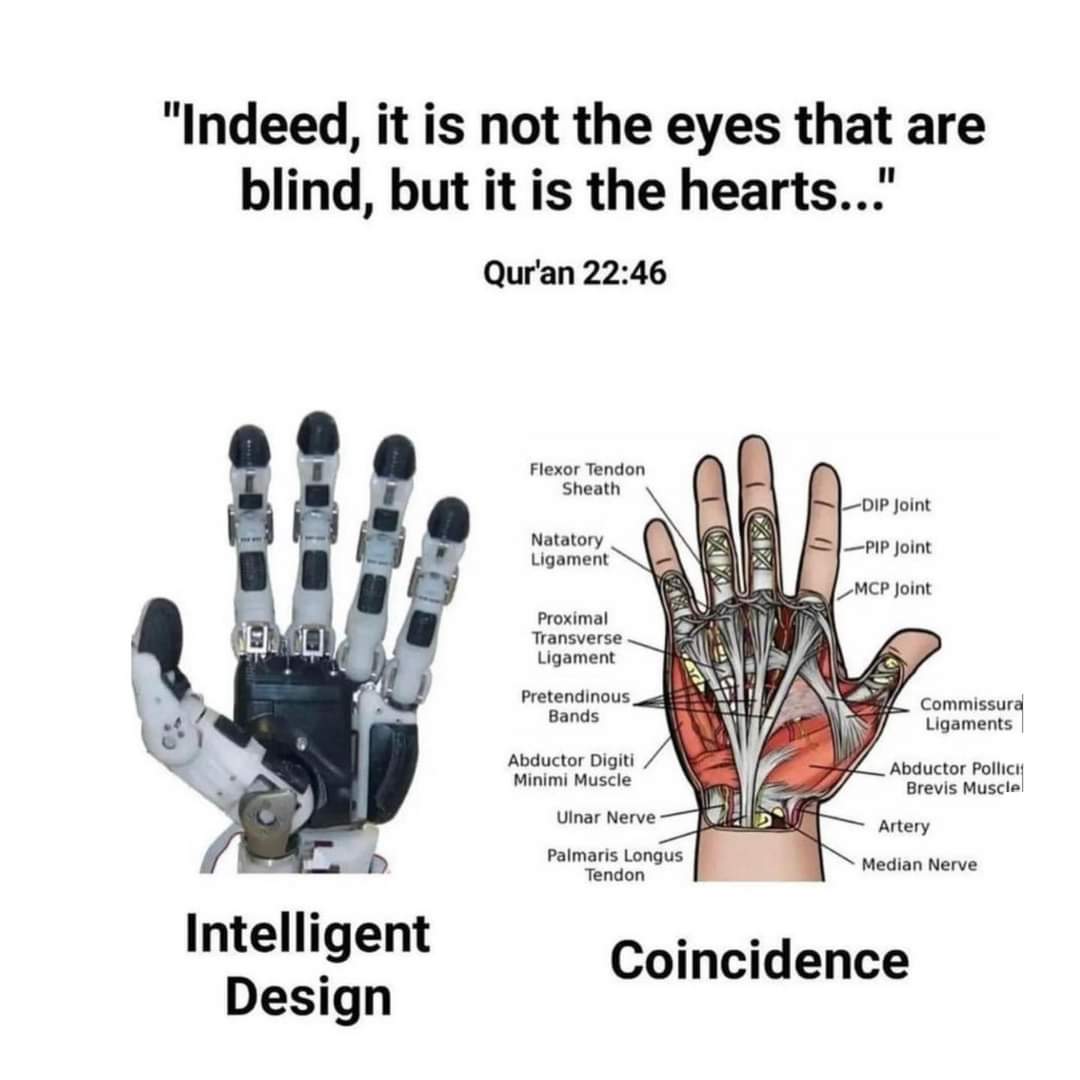 AlhadiInsight's tweet image. "Indeed, it is not the eyes that are blind, but it is the hearts..."
Quran 22:46
#insightfulhearts
#innersight
#quranicverse
#surahalhajj
#quranicwisdom
#guidancefromquran
#almightyallah❤️