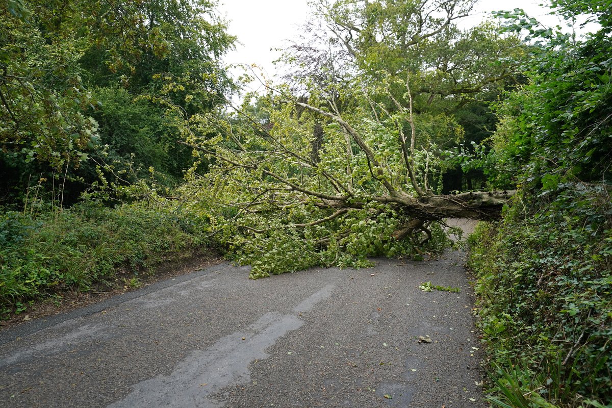 Storm Antoni causes trees to block 100 miles of railway

somersetlive.co.uk/news/uk-world-…