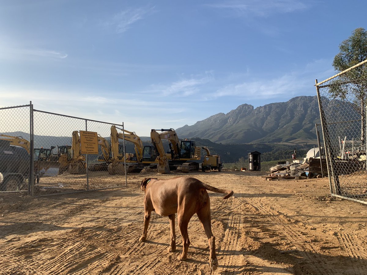 WildPasts_'s tweet photo. They paved paradise …#Botmaskop The irony of the two boards next to each is too much.
Shameful, Stellenbosch. This is a green corridor for wildlife like caracal and porcupine. It’s a place to hike, picnic, ride horses and bike. We don’t need *more* homes for millionaires. https://t.co/LBcpiwAVOi