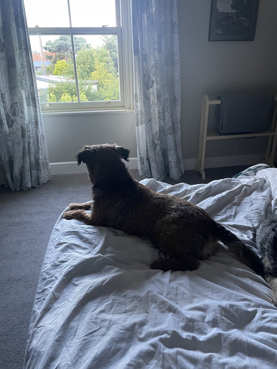 bruffbt's tweet image. Before 7am and I am awake - been outside for ablutions and had breakfast! #holidayroutine