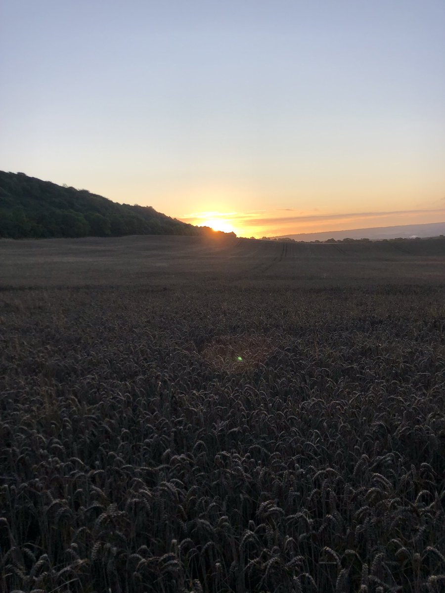 GuyWilliams20's tweet photo. Dawn breaks - Coldrum Long Barrow https://t.co/qZKRS5YrWF