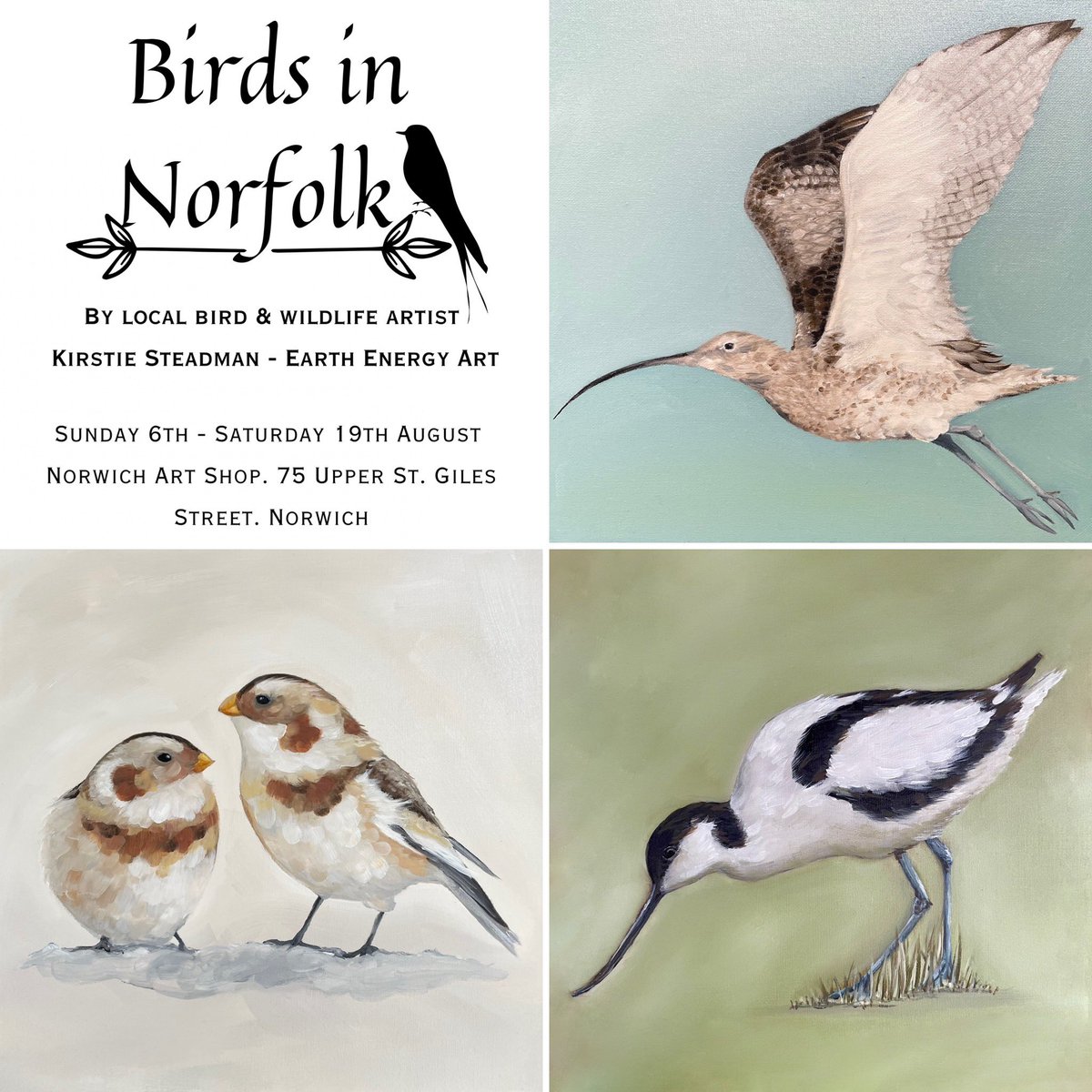 Kirstie Steadman <a href="/EarthEnergyArt/">Earth Energy Art</a> will be curating her window exhibition ‘Birds in Norfolk’ this morning. Call by and check out her beautiful bird oil paintings and prints 11-4 today and daily until Saturday 19th August.
Photos coming later today!
#art #birds #norwich #exhibition