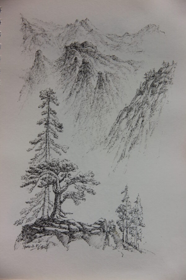 kaijunart's tweet photo. ❤ Like &amp; 📌Subscribe if you enjoy my artworks!
- Artist: Kaijun Hu
- Location: Yunnan, China
- Album: Beauty of Yunnan
- Website: https://t.co/XT9mldL7q7

#sketch #sketches
#drawing #drawings 
#art #painting
#tree #kaijunart #yunnan #chineseart https://t.co/pNruqXLlXA