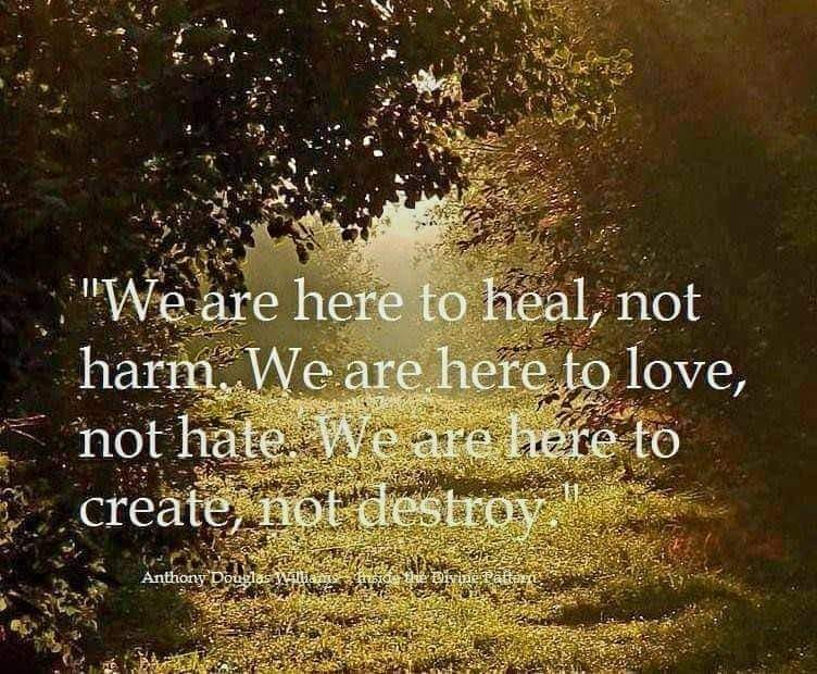 NelsonLuis71's tweet image. Yes. Blessed Be🌸🙏🌸🤍😀