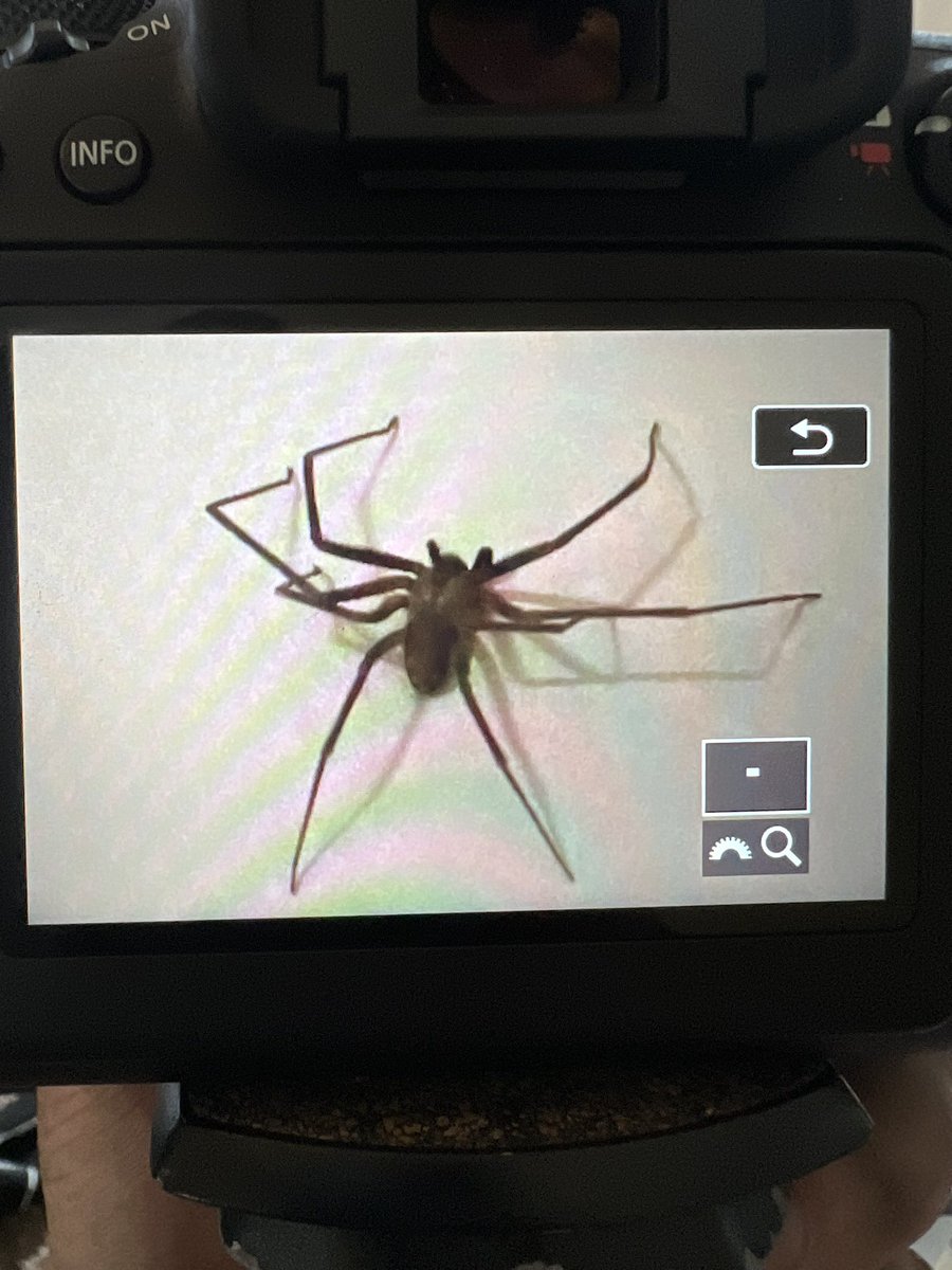 🌪𝕾𝖙𝖔𝖗𝖒𝖈𝖍𝖆𝖘𝖊𝖗 𝕸𝖆𝖙𝖙🌪 tweet media