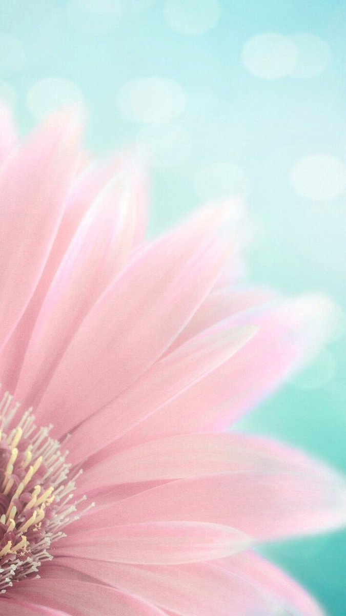 lIlanonymouslIl's tweet photo. #วอลเปเปอร์ #wallpapers #วอลเปเปอร์ไอโฟน #วอลเปเปอร์มือถือ #รูปหน้าจอ #รูปหน้าจอมือถือ #รูปHD #วอลคู่ #รูปคู่ #รูปหน้าจอคู่
ฝาก follow ด้วยนะครับ ❤️ https://t.co/h4BFcZT2nj