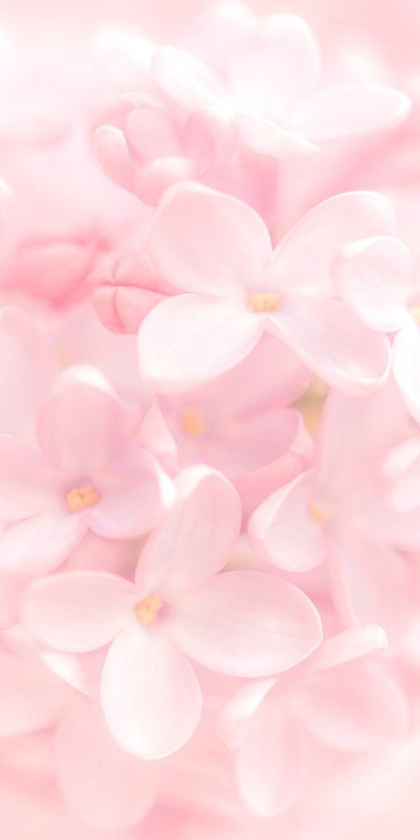 lIlanonymouslIl's tweet photo. #วอลเปเปอร์ #wallpapers #วอลเปเปอร์ไอโฟน #วอลเปเปอร์มือถือ #รูปหน้าจอ #รูปหน้าจอมือถือ #รูปHD #วอลคู่ #รูปคู่ #รูปหน้าจอคู่
ฝาก follow ด้วยนะครับ ❤️ https://t.co/h4BFcZT2nj