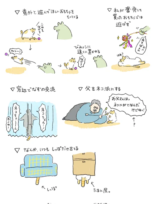 うちのネコを飼いはじめて知ったことメモ②
