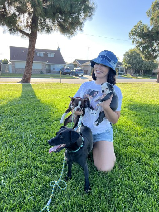 1 pic. Welp I have added on more Tom my family! Meet Hercules https://t.co/ugSCKhTxHr