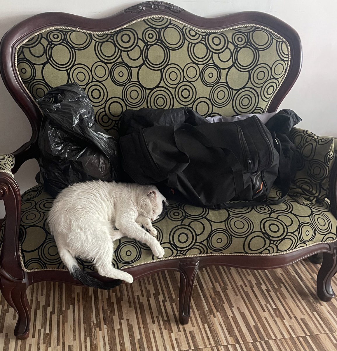 sometimes dibina tweet media