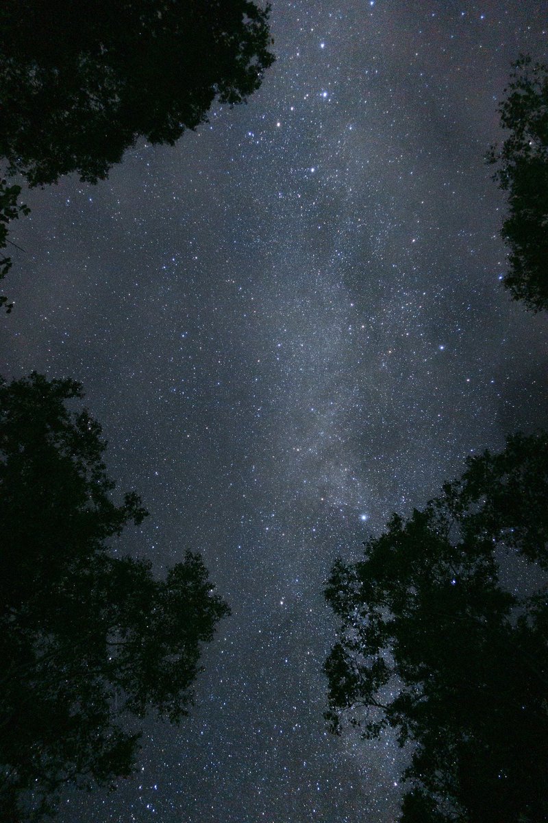 pictures's tweet photo. night sky https://t.co/N9SiTkkFnc