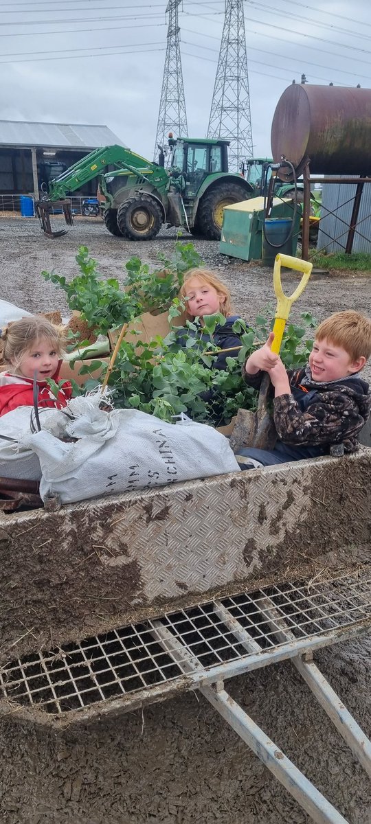 countrymumlife tweet media