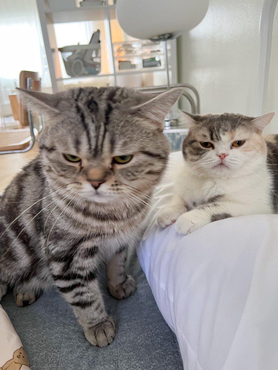 วันอาทิตย์ขอนอนตื่นสายหน่อยไม่ได้หรอ!