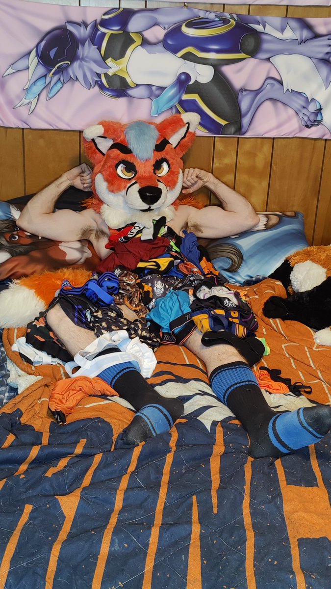 YiffyFox91's tweet photo. Happy #NationalUnderwearDay 🦊🍑 #furry #UnderwearDay #fitfox #fursuithead #jocks https://t.co/za8nRWvS6i