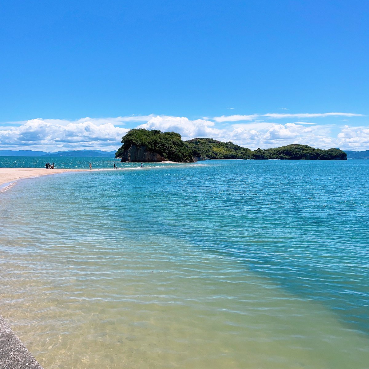 泳ぎますかᗦ↞◃ 〜✨