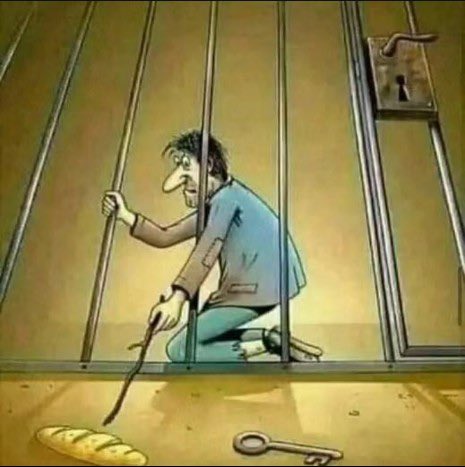 Eva Sri Diana Chaniago tweet media