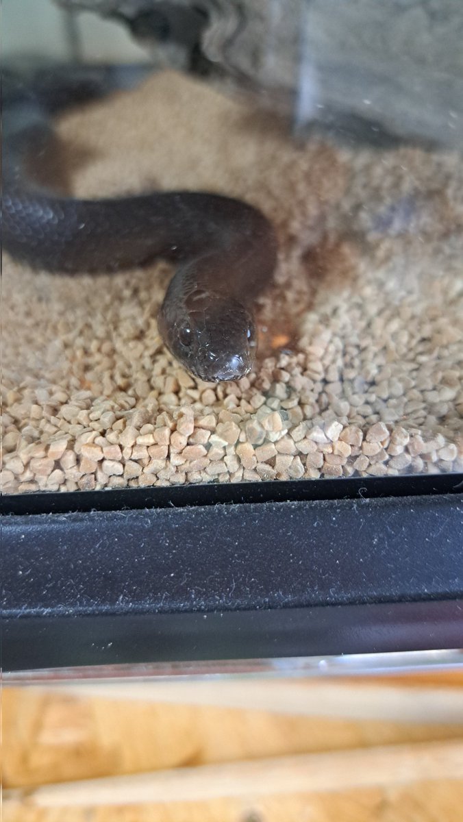 かわいいお顔してるね～～～～