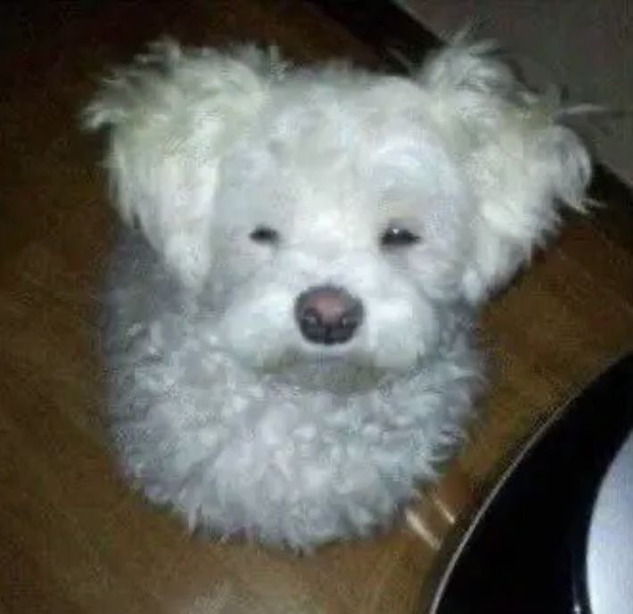 dogonboo's tweet image. แม่ลดแสงหน้าจอทอระสาบนอย