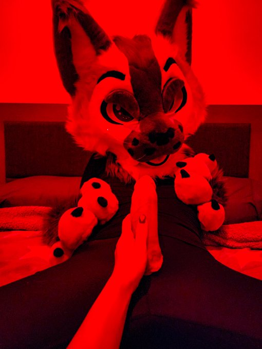 Want to take it into my pussy so bad rn 💦🍑  #Murrsuit #Sex #Murrsuiting #Hot #Mursuiting #FurrySex #Mursuit<a href="/tag/murrsuit"class="tags">#Murrsuit</a><a href="/tag/hot"class="tags"><span>#hot</span></a><a href="/tag/sex"class="tags"><span>#sex</span></a><a href="/tag/murr"class="tags"><span>#murr</span></a><a href="/tag/furryporn"class="tags"><span>#furryporn</span></a><a href="/tag/murrsuiting"class="tags"><span>#murrsuiting</span></a><a href="/tag/mursuit"class="tags"><span>#mursuit</span></a>