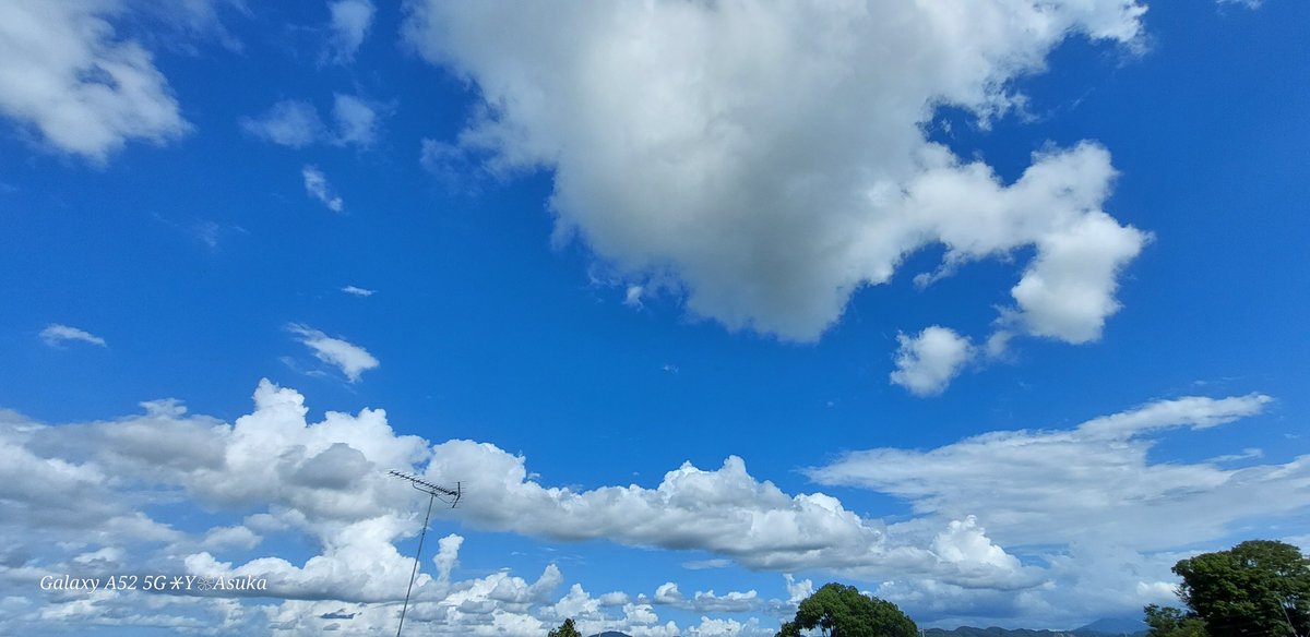yumeasutw's tweet photo. モク☁️モク☁️モク☁️モク☁️
#雄大積雲 の群れ🤍💙

暑いですね☀️😵💦
まだ雨の気配はありません。
西から東へ続々と #積雲 が
連なっています。

#イマソラ #いまそら
#青空 #sunshine
#空の名前
#天気の図鑑 #雲の超図鑑 #雲友の会
#鉄塔 #電線
#a2023 #a0806 #a202308 #a2023082 https://t.co/1QagaNMrKJ
