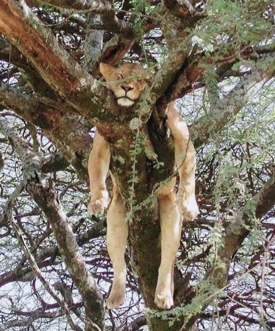 Come back later. I’m busy. #Sunday