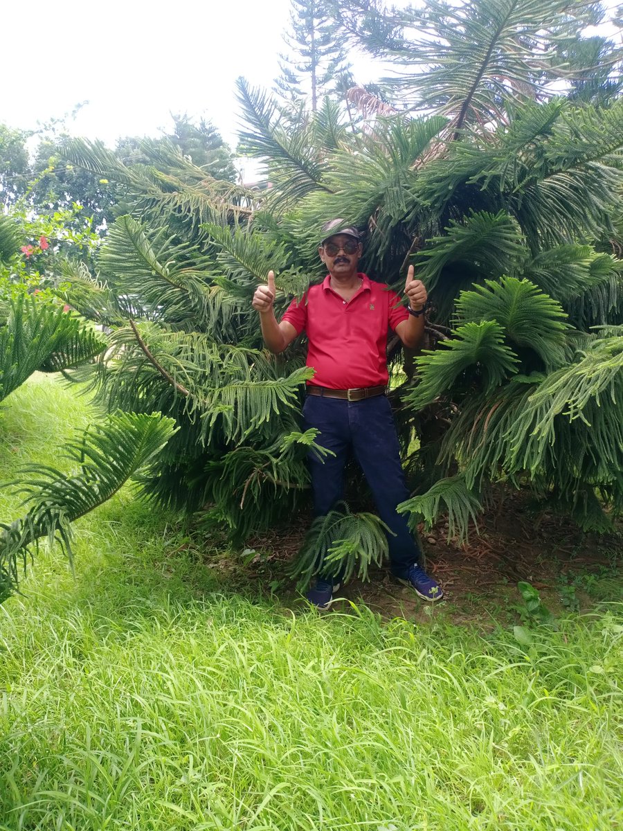 Manjuru16959905's tweet photo. https://t.co/png5xkxrIS