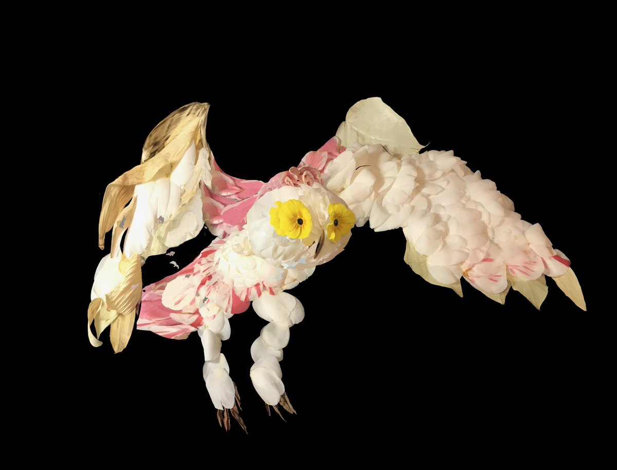 leafettes's tweet photo. And I advanced from there to do a white snowy owl https://t.co/QiwrdFRWci
