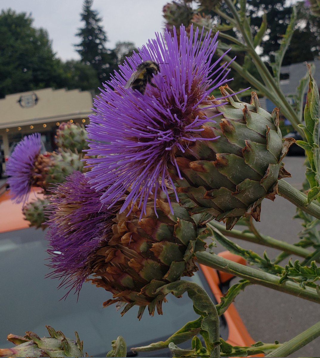 JenniferRae tweet media