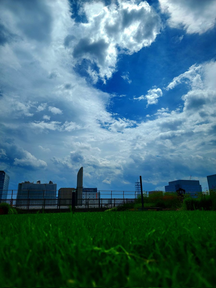 tt_eru's tweet photo. エスタ空のガーデン🌈
#札幌観光
#札駅
#隠れスポット https://t.co/lBO5BPfdTZ